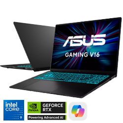 ASUS V16-GAMING V3607VM
